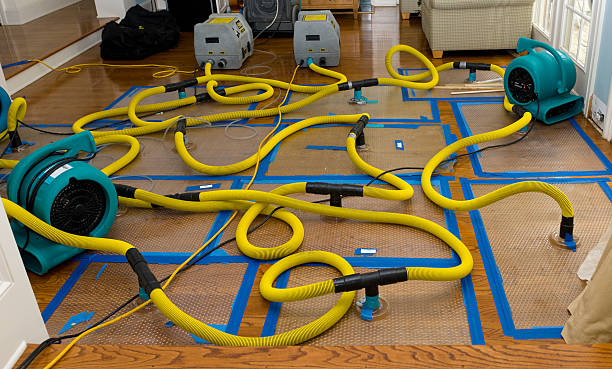Professional Water Damage Restoration technician working in Vineyard, UT